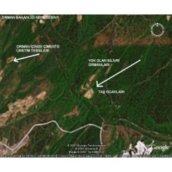 Yasal Orman Katliamı