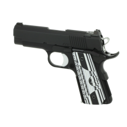Dan-Wesson-ECO-9mm Model