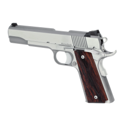 Dan Wesson Razorback RZ-10