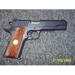 Para Ordnance 1911 SSP
