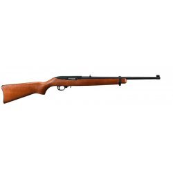 Ruger 10/22 Karbin