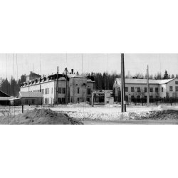 Sako Silah Özellikleri