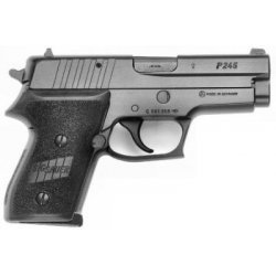 Sig Sauer P 245 Silah