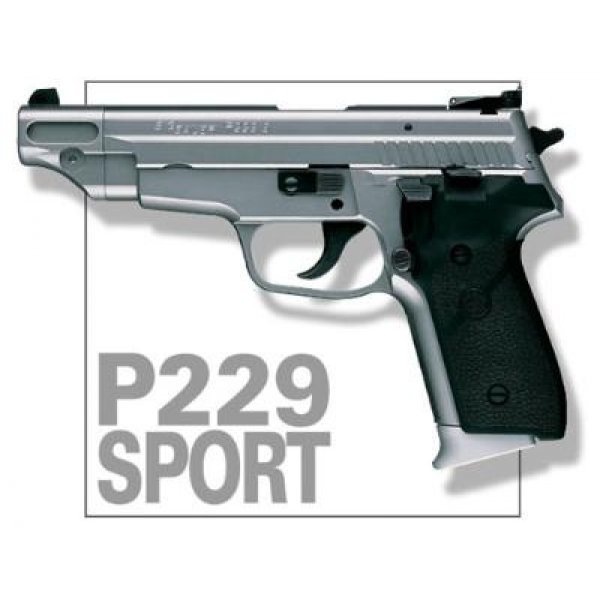 Sig Sauer P 229S