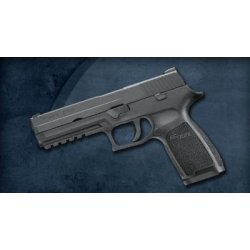 Sig Sauer P250 Modeli
