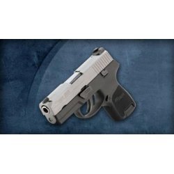 Sig Sauer P250 Subcompact Two Tone