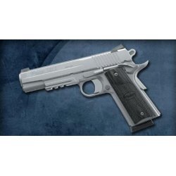 Sig Sauer 1911 Stainless Rail