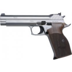 Sig Sauer P 210 Silver Target